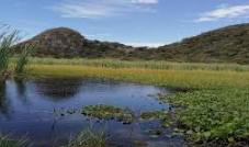 Parque Nacional Palo Verde